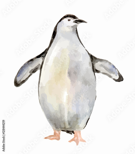 Isolated watercolor penguin on white background. Antarctic animals.
