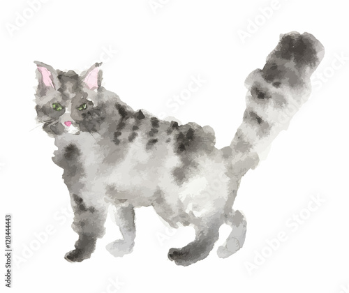 Isolated watercolor cat sitting on white background.