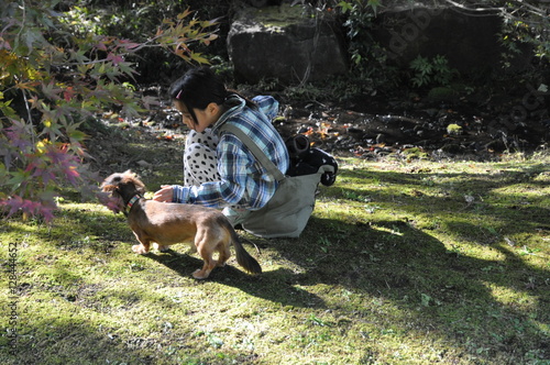 犬と少女 しつけ コミュニケーション能力 秋の公園 少女 ペット 犬 散歩 横顔 子供 子供 楽しい 遠足 アジア人 日本人 芝生 兄弟