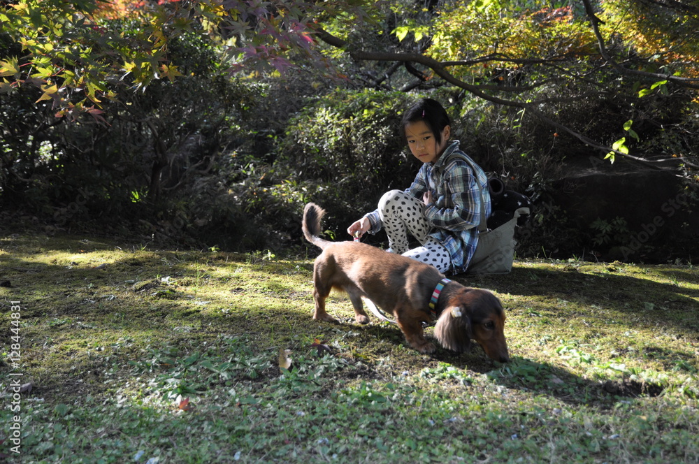 犬と少女　しつけ　コミュニケーション能力　秋の公園　少女　ペット　犬　散歩　横顔　子供　子供　楽しい　遠足　アジア人　日本人　芝生