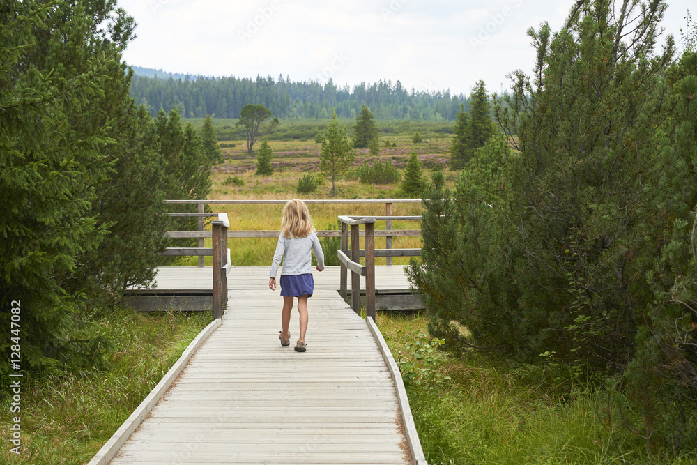 Child little blond girl exploring nature at Three lake moor (Trijezerni slat), National Park Sumava, Bohemian forest, Czech Republic
Child little blond girl exploring nature at Three lake moor (Trijezerni slat), National Park Sumava, Bohemian forest, Czech Republic