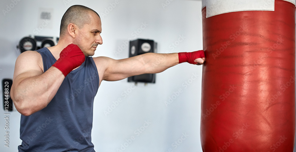 Boxer training in a gym