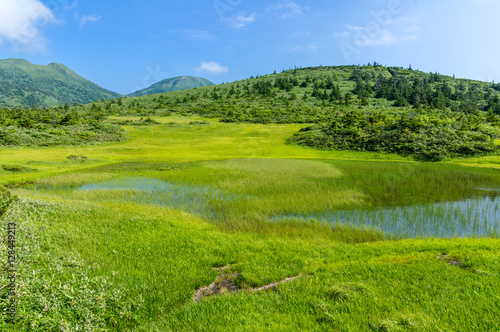 Pond at the top of the mountain covered with green.