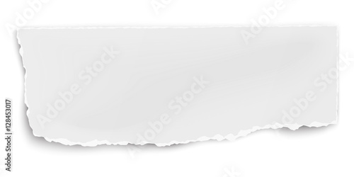 Vector oblong ripped paper piece with soft shadow isolated on white