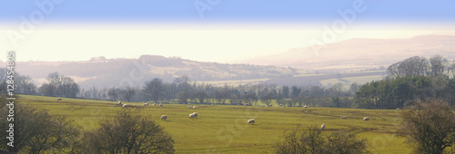 generic high resoltion image of a footpath in typical english co