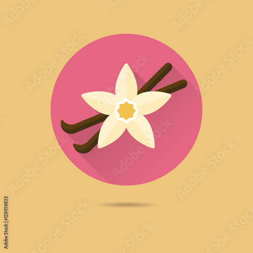 vanilla pods and flower flat design vector icon