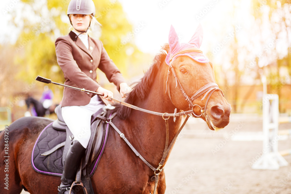 Fototapeta premium Young rider woman riding horse at the competition