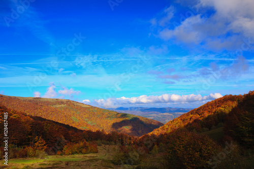 Bright Autumn sky and yellow and red beech forest in the Carpathian Mountains in the golden autumn season.