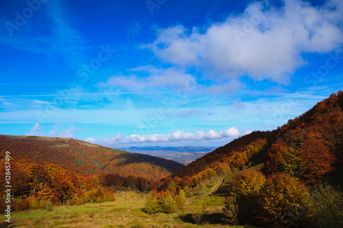 Bright Autumn sky and yellow and red beech forest in the Carpathian Mountains in the golden autumn season. © Vitalfoto