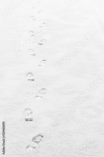 footprints in the snow