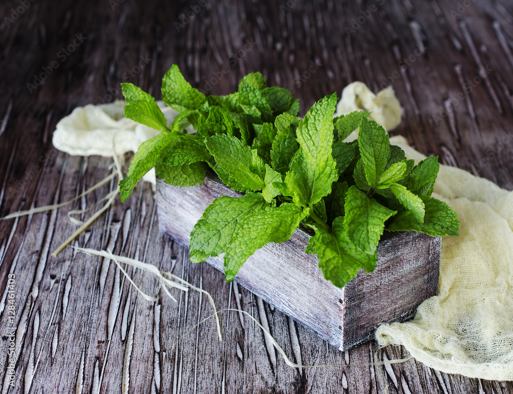 Fresh lemon balm or mint in a small wooden box Fresh lemon balm or mint in a small wooden box
