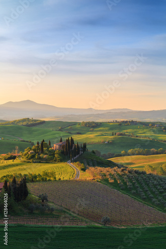 Farmhouse, green hills,cypress trees in Tuscany at sunrise in Italy