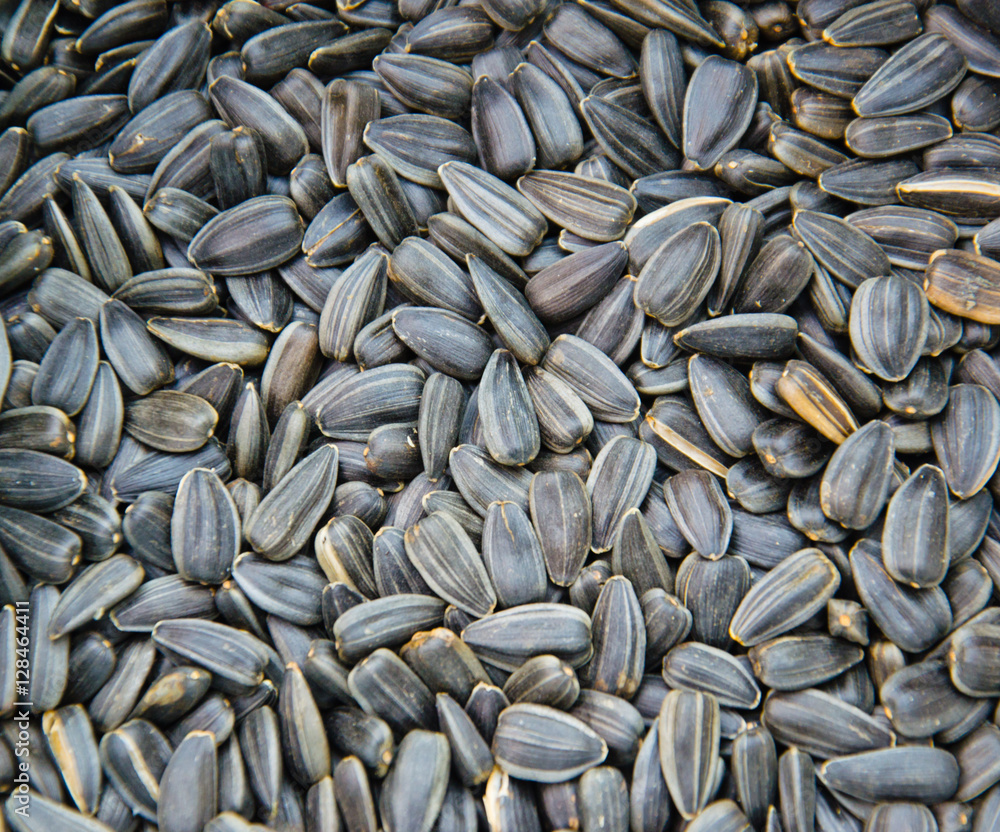 Backgroubd of black roasted sunflower seeds Backgroubd of black roasted sunflower seeds