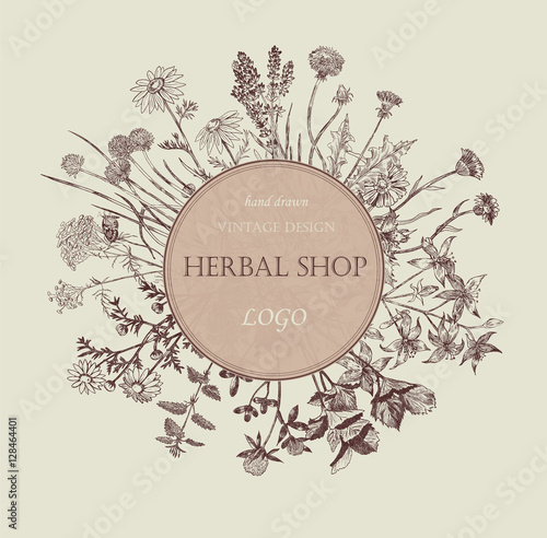 Herbal shop logo. Hand drawn design.
