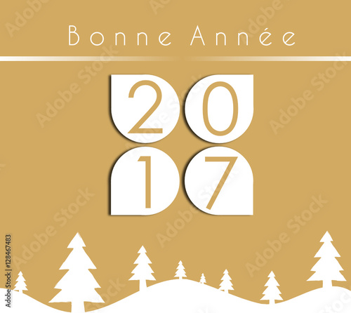 2017 : Bonne Année