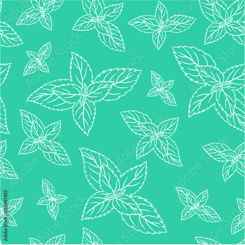 Hand drawn vector seamless patterns with mint leaves  peppermint  spicy herbs  kitchen texture  Doodle cooking ingredient for design package tea  wallpaper  cosmetics  textile  natural organic product