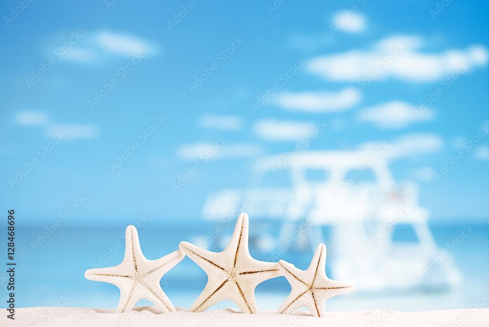 white starfish with ocean, boat, white sand beach, sky and seasc white starfish with ocean, boat, white sand beach, sky and seasc