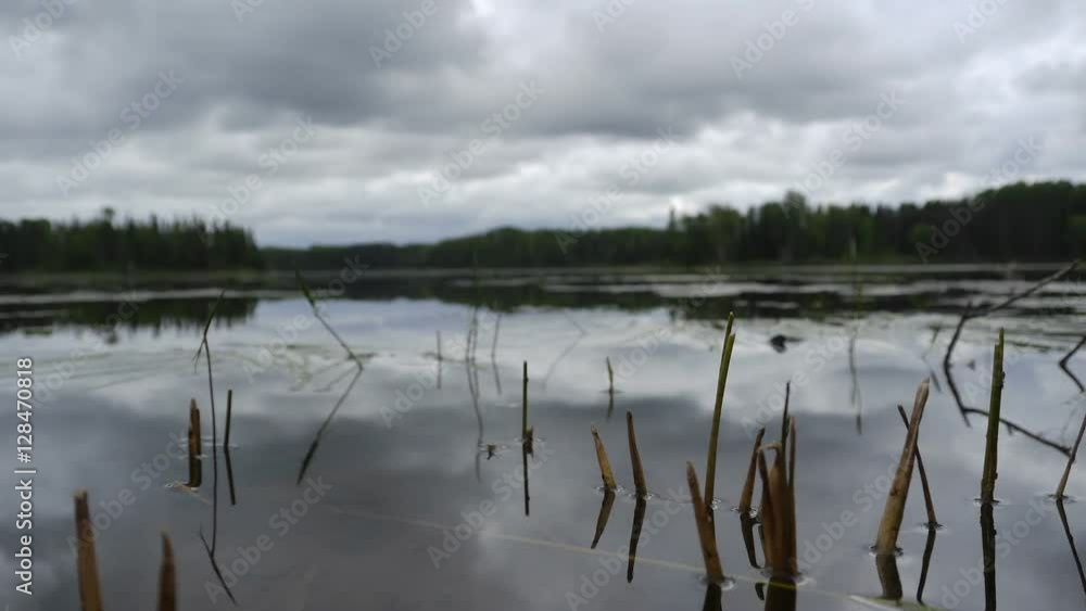 Lake in Ontario - Canada