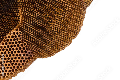 honeycomb with isolated