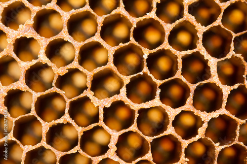 macro honeycomb pattern