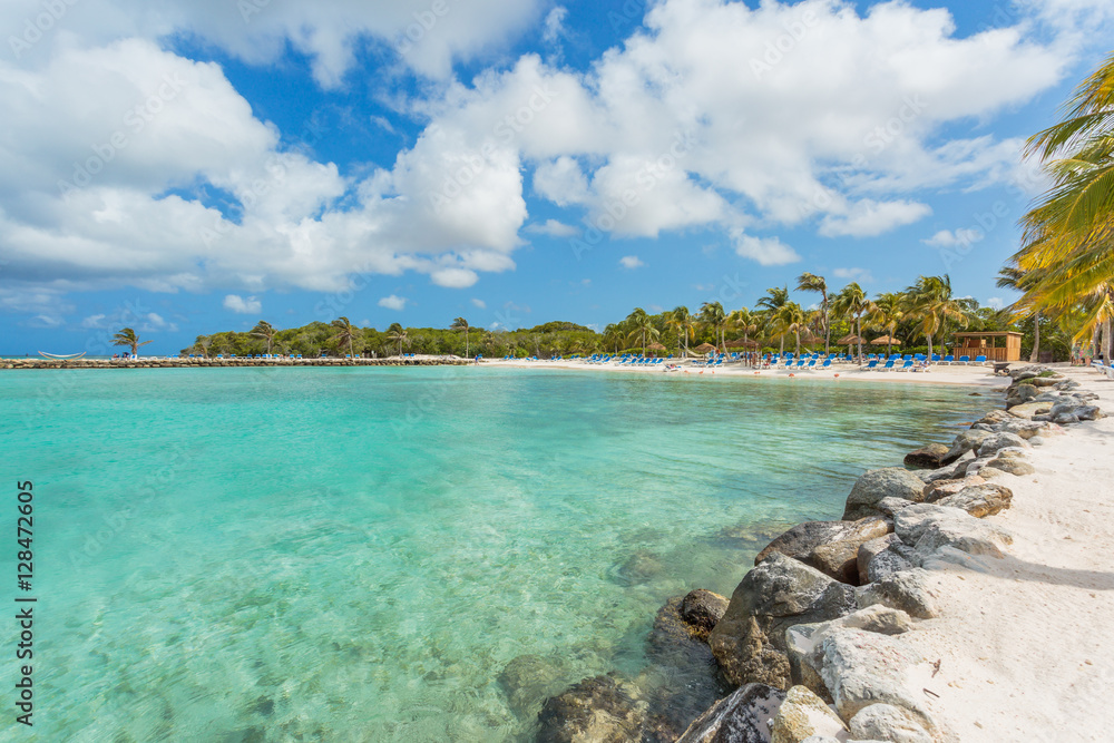 Fototapeta premium Flamingo beach at Aruba island