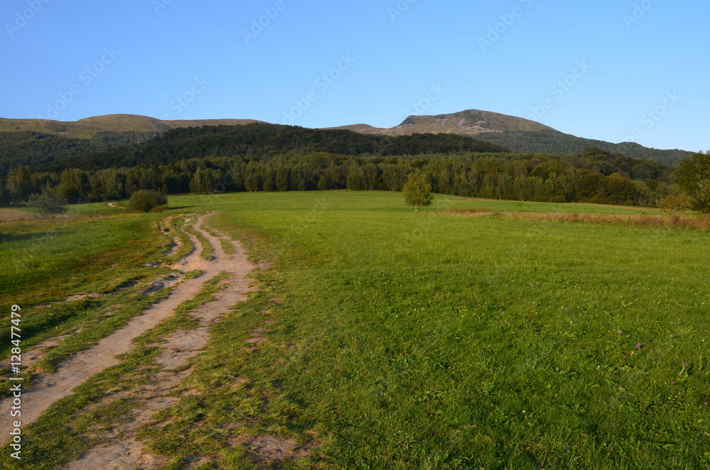 tarnica tarnica