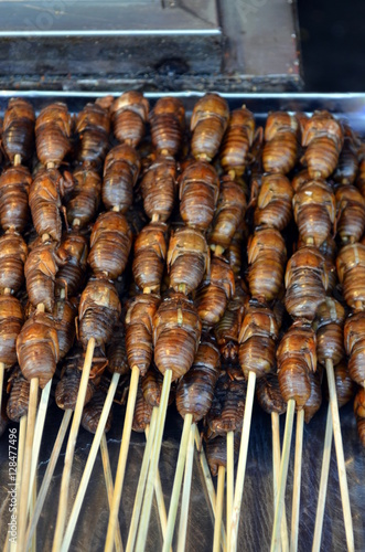 Chinese street food in the Hutongs of Beijing Wangfujing Street roasted silkworm pupae photo