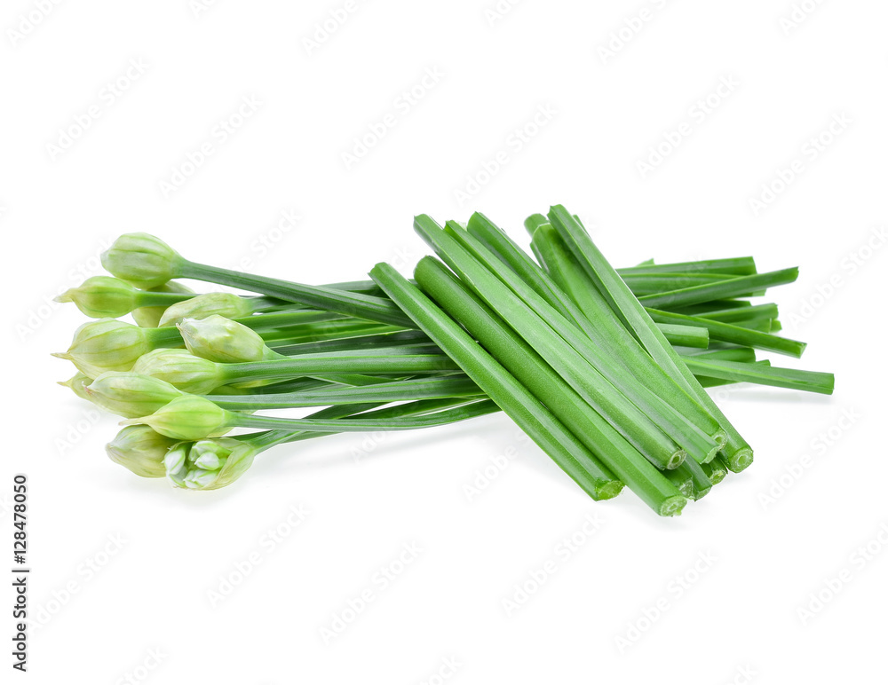 Chinese chives isolated on white background