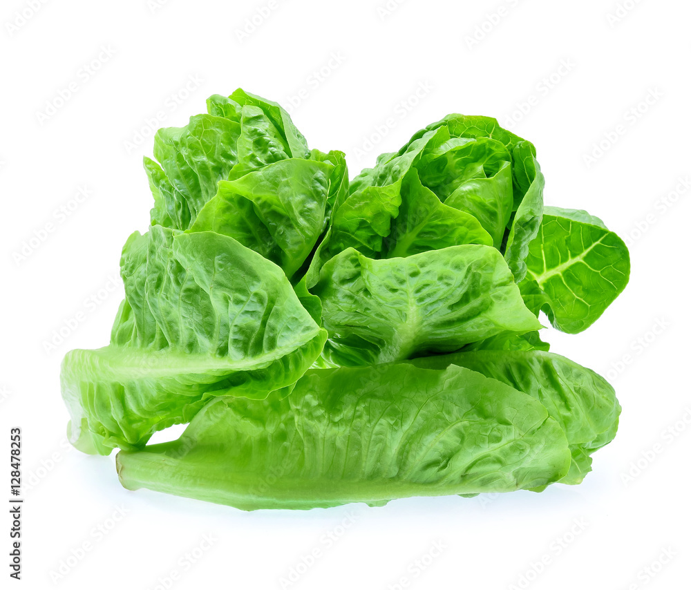 fresh baby cos (lettuce) on white background fresh baby cos (lettuce) on white background