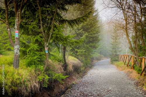 mountain roads collection photo