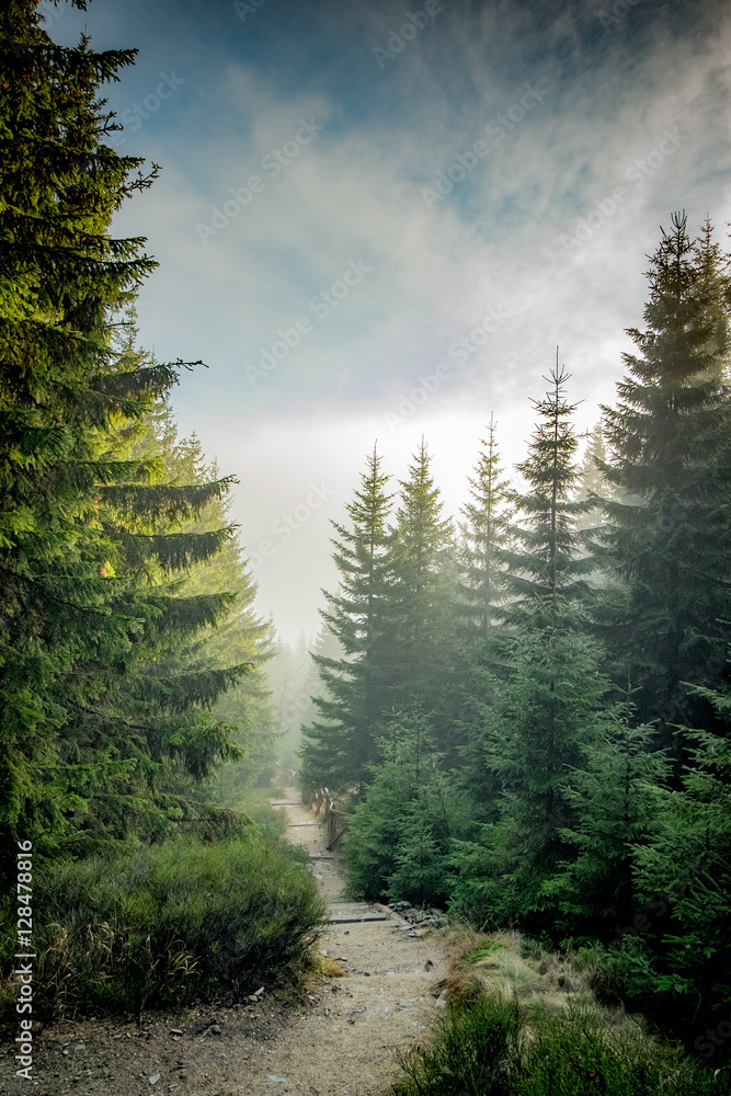 mountain roads collection
