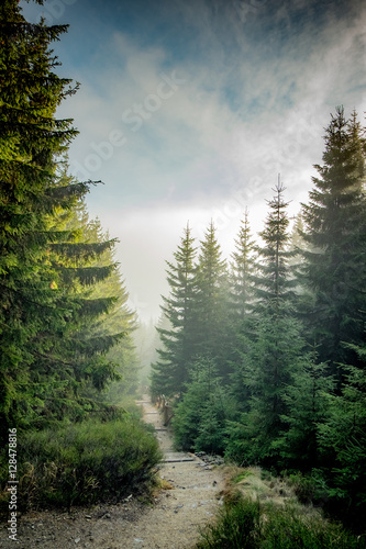 Obraz na płótnie mountain roads collection w salonie