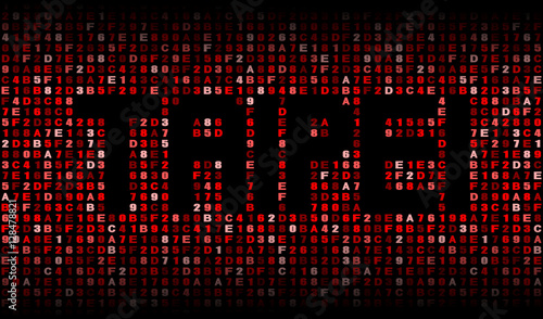 Wallpaper Mural Taipei text on hex code illustration Torontodigital.ca