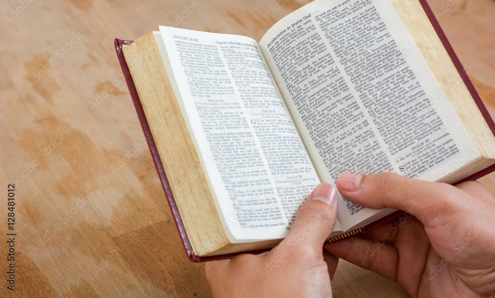 Naklejka premium read the holy bible