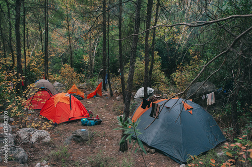 Camping and tents under pine forest in the morning