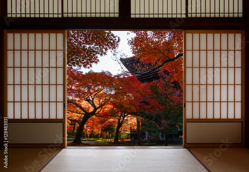 Ancient pagoda and beautiful red fall maples seen through a traditional Japanese doorway in autumn