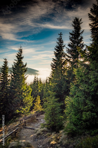 mountain roads collection