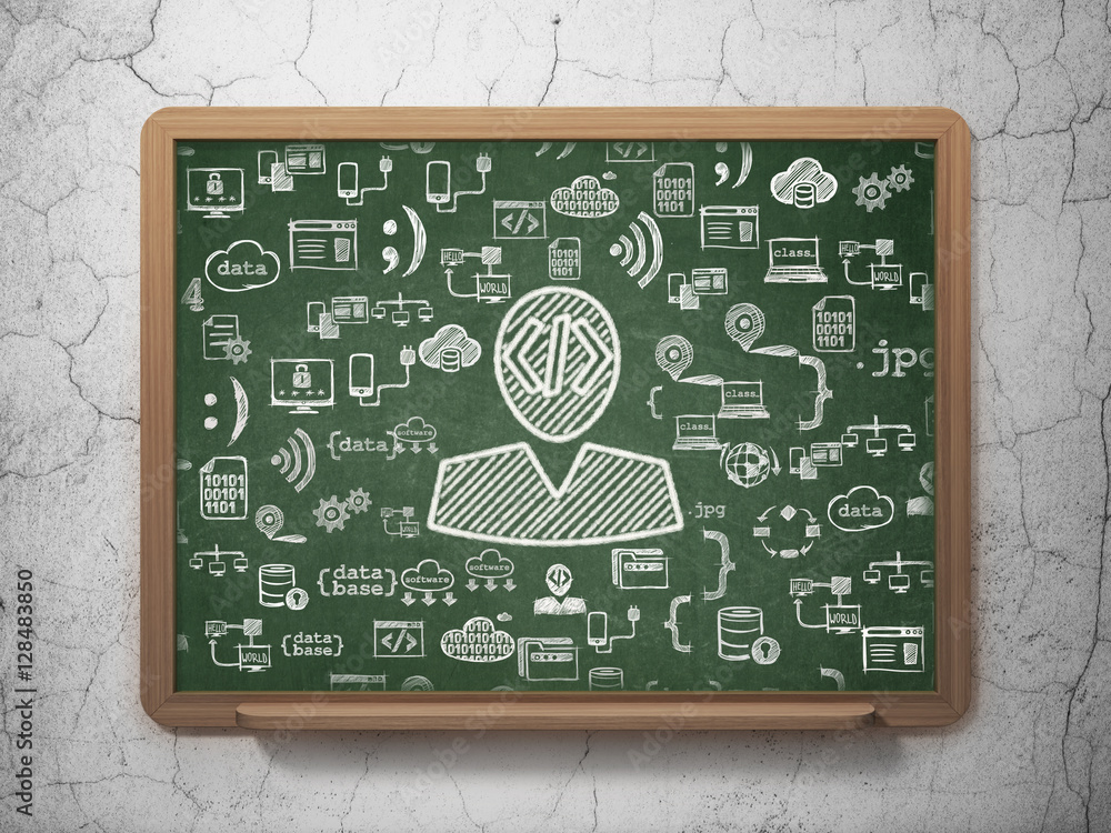 Fototapeta premium Database concept: Programmer on School board background