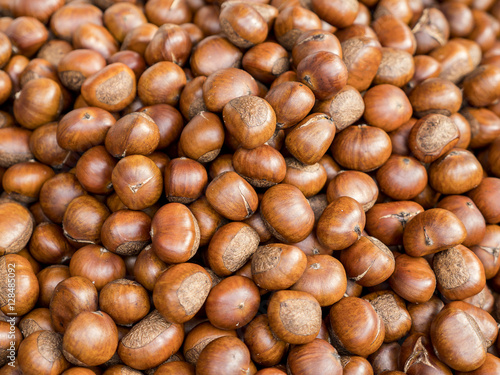 Closeup group of chestnuts 1