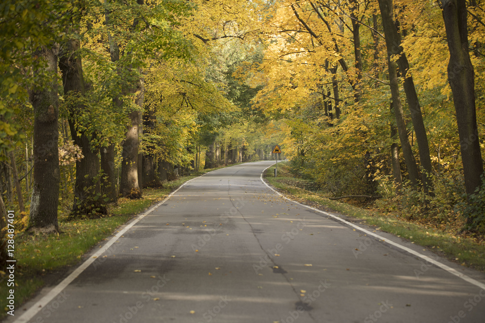 Fototapeta premium Autumn theme.