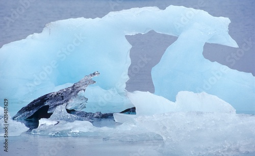 Torbogen aus Eis, Eisberge auf dem Jökulsárlòn, Austurland, Island, Europa  photo