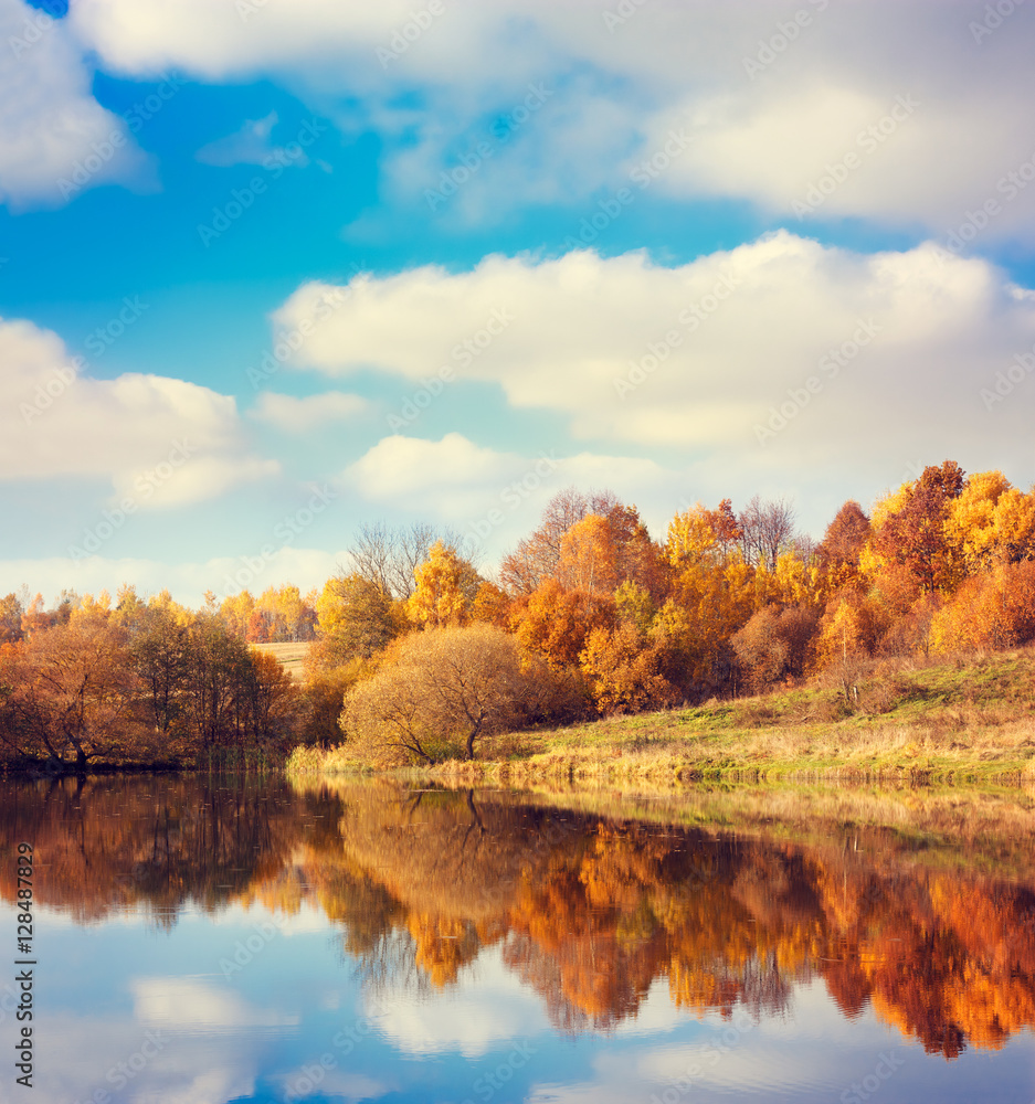 Obraz premium Autumn Landscape. Yellow Trees, Blue Sky and Lake. Nature Scenery in Fall. Beautiful Season Background with Reflection in Water. Toned Photo with Copy Space.