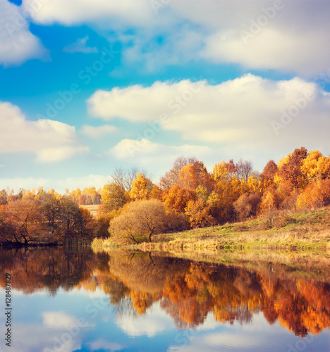 Autumn Landscape. Yellow Trees  Blue Sky and Lake. Nature Scenery in Fall. Beautiful Season Background with Reflection in Water. Toned Photo with Copy Space.
