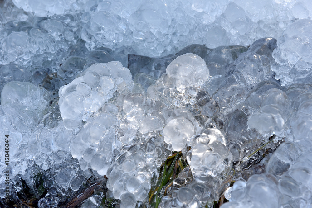 Abstract ice crystals on frozen plants