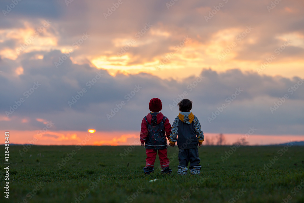 Two adorable children, boy brothers, watching beautiful splendid Two adorable children, boy brothers, watching beautiful splendid