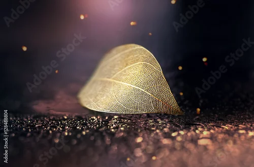 Obraz Piękny złoty przejrzysty kościec opuszcza z teksturą na błyszczącym abstrakcjonistycznym tle zamazującym z round bokeh wodą opuszcza zakończenie makro-. Jasny, wyrazisty, elegancki obraz artystyczny.