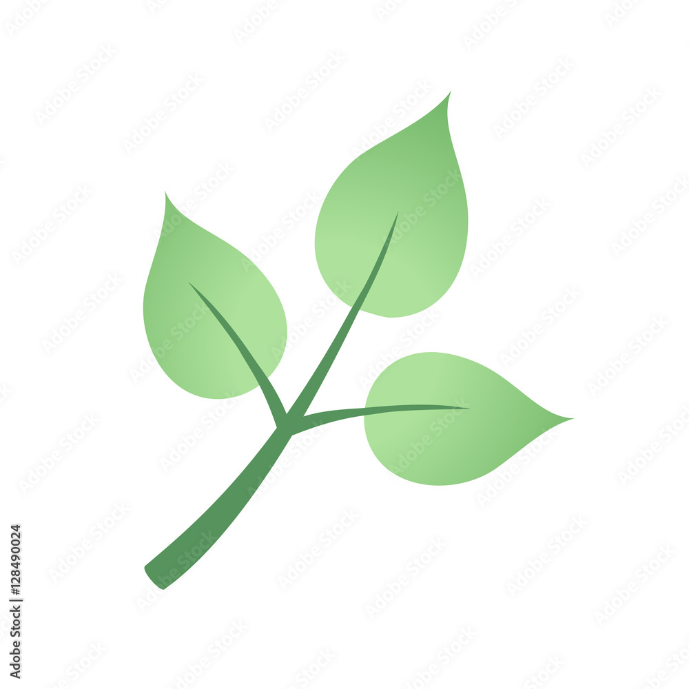 Obraz premium plant design