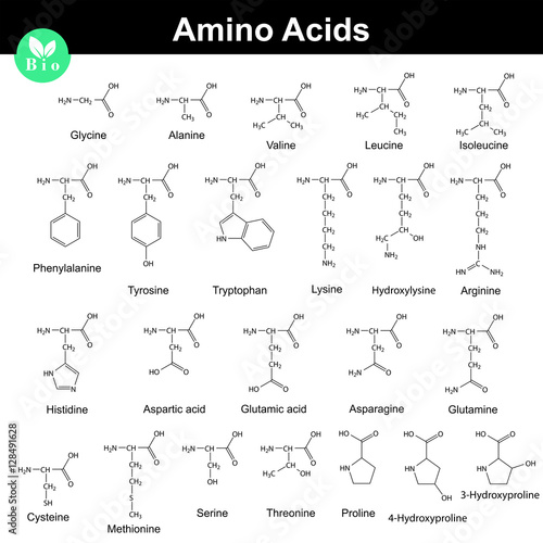 Biogenic amino acids formulas