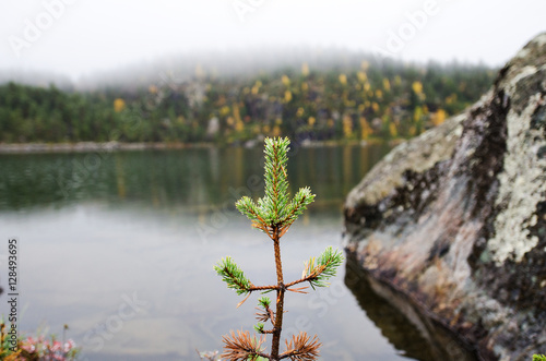 Autumn in Lapland, Finland
