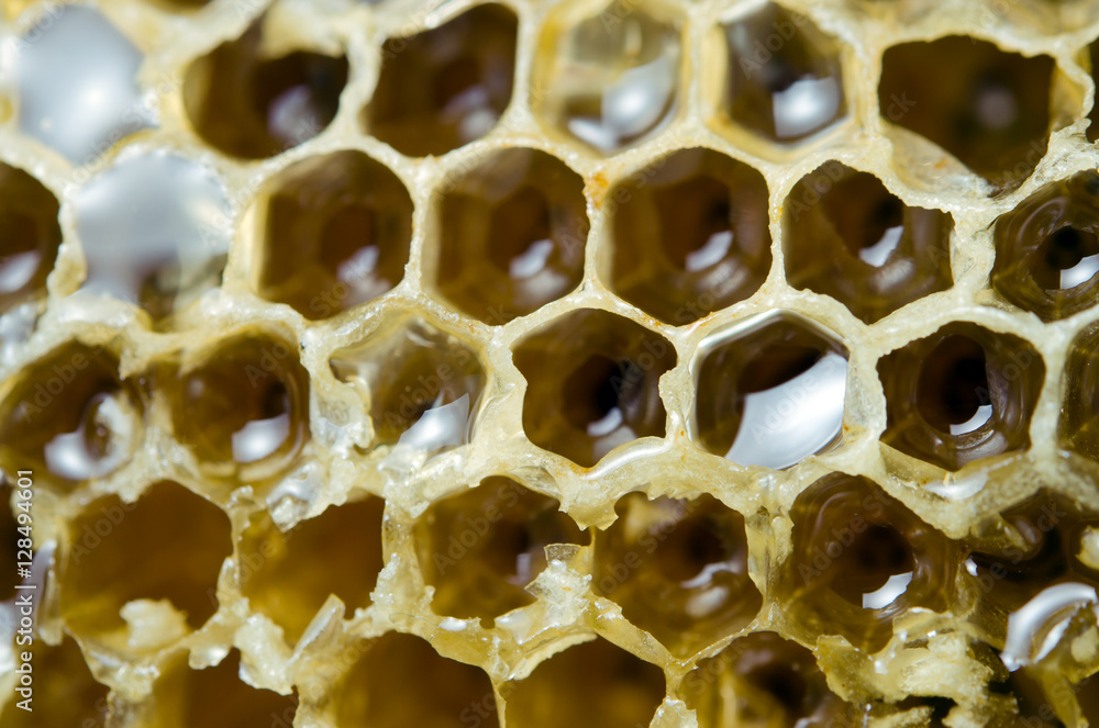 Bee hive texture with honey filled